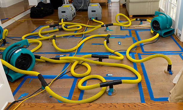 Professional Basement Flood Cleanup technician working in Aguila, AZ